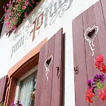 Ξενοδοχείο Landgasthof Zum Pflug