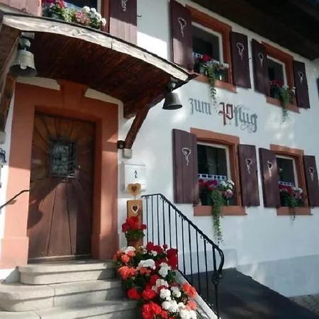 Landgasthof Zum Pflug فندق Kleines Wiesental