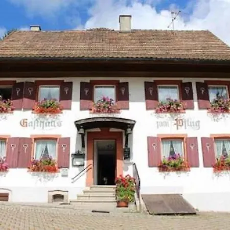 Hotel Landgasthof Zum Pflug Kleines Wiesental