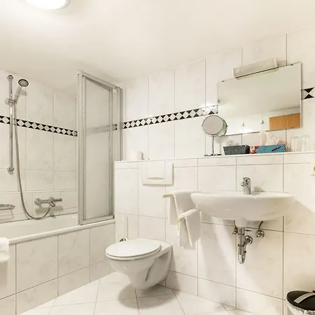 Landgasthof Zum Pflug Hotel 3*