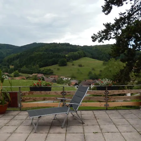 Landgasthof Zum Pflug מלון