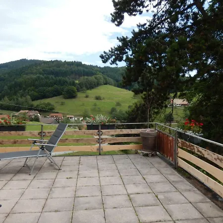 Landgasthof Zum Pflug 3* Kleines Wiesental